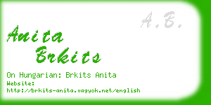 anita brkits business card